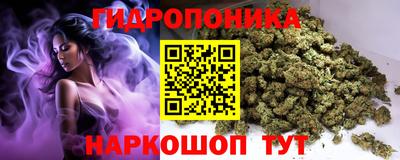 а пвп мука Кингисепп