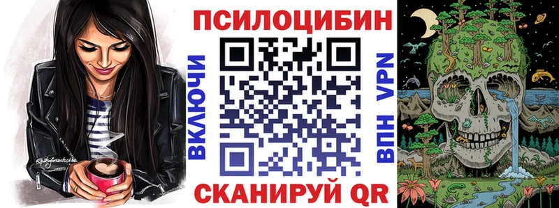 Галлюциногенные грибы Psilocybine cubensis  Лангепас 