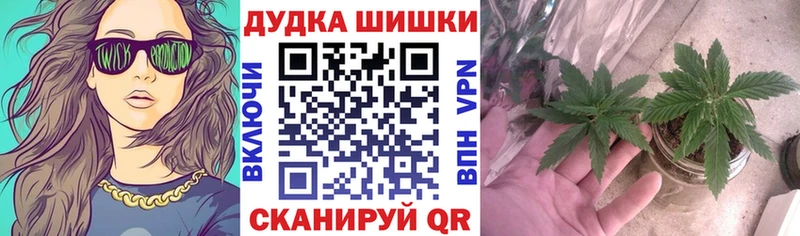 omg ссылка купить наркотики сайты Лангепас Конопля SATIVA & INDICA